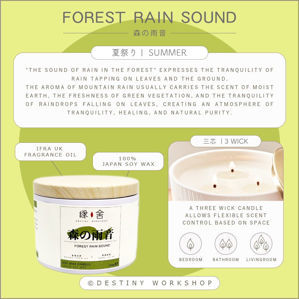 Forest Rain Sound | 森の雨音