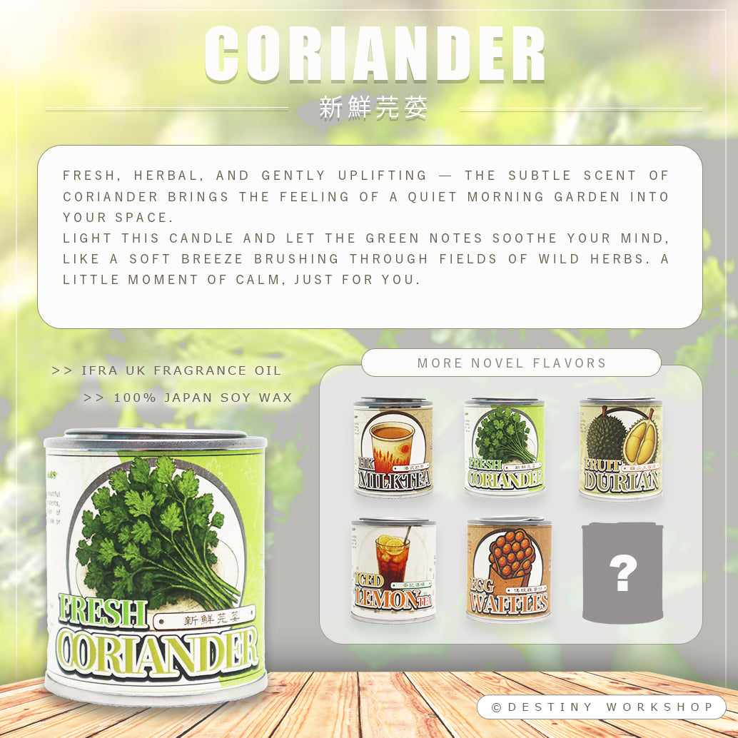 Fresh Coriander | 新鮮芫荽
