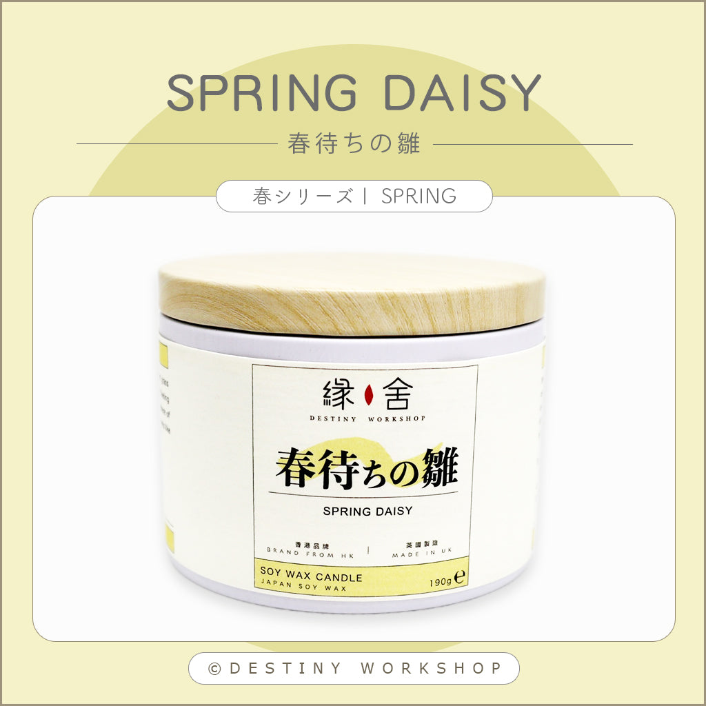 Spring Daisy | 春待ちの雛
