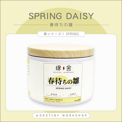 Spring Daisy | 春待ちの雛