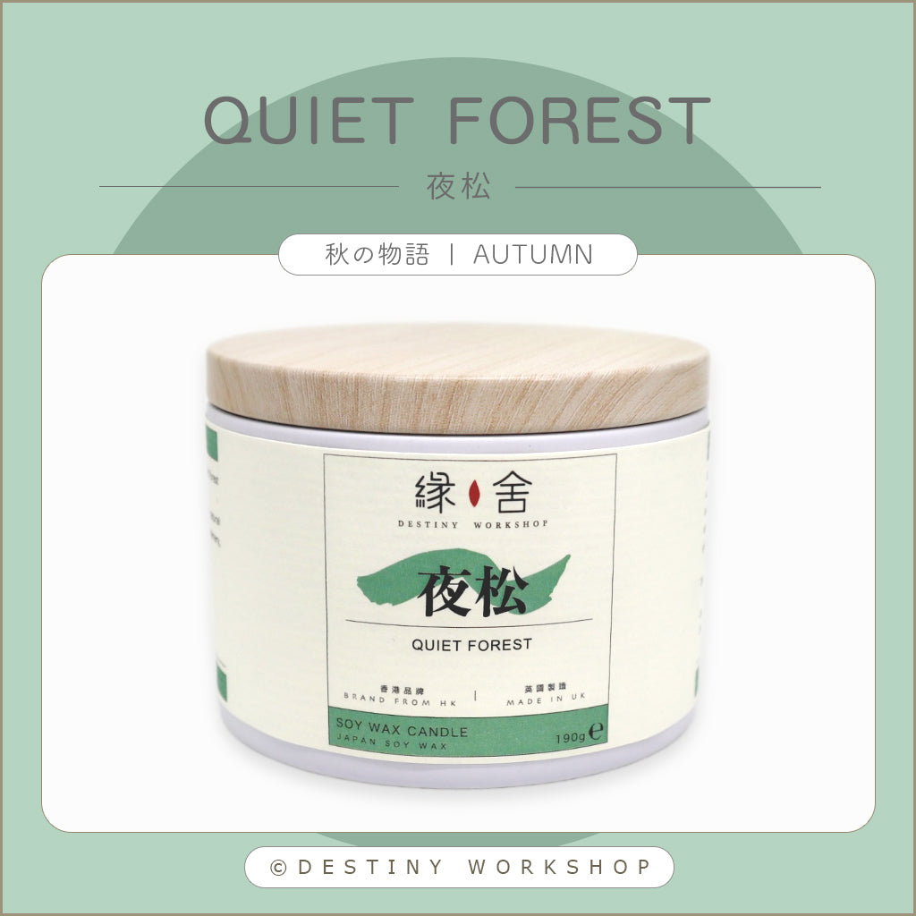 Quiet Forest | 夜松
