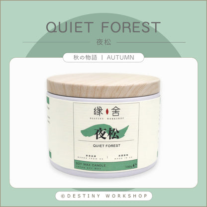 Quiet Forest | 夜松