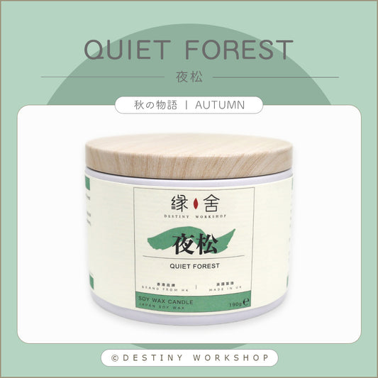 Quiet Forest | 夜松