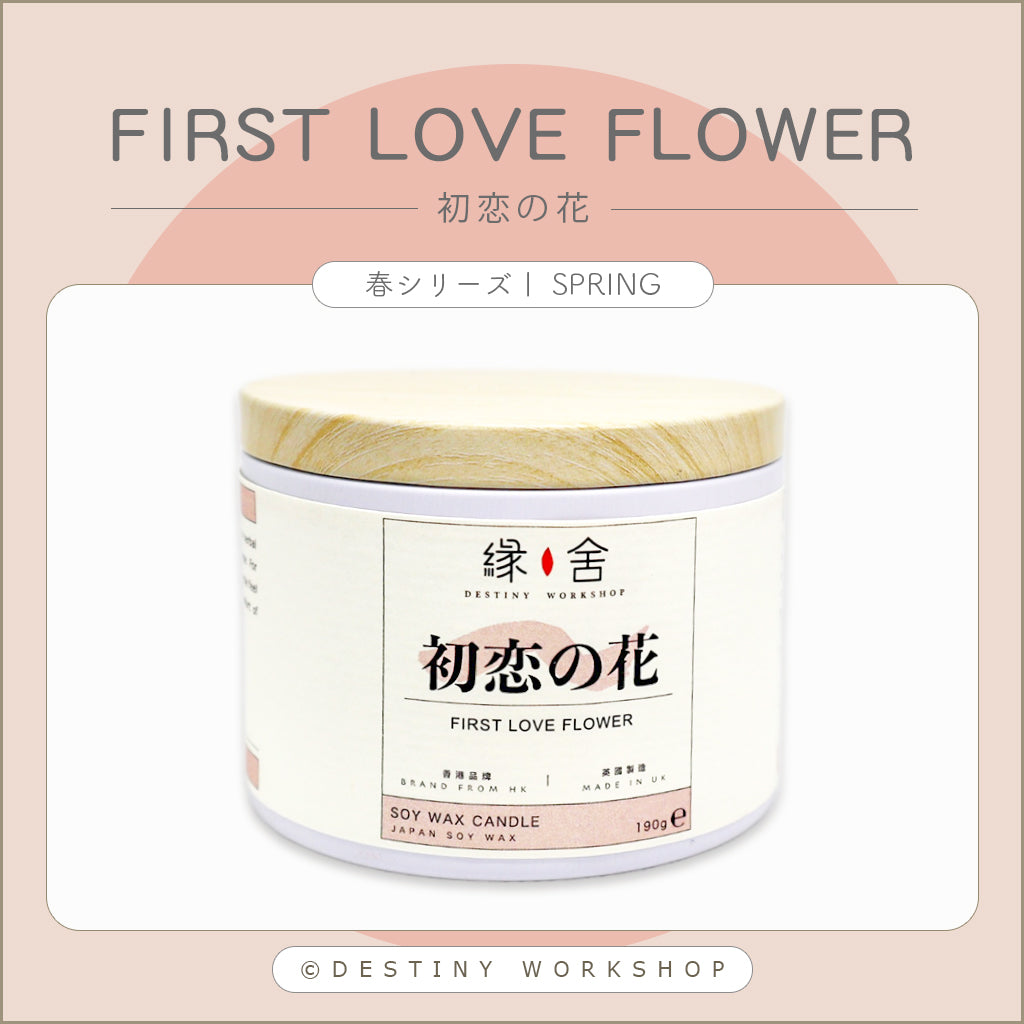 First Love Flower | 初恋の花