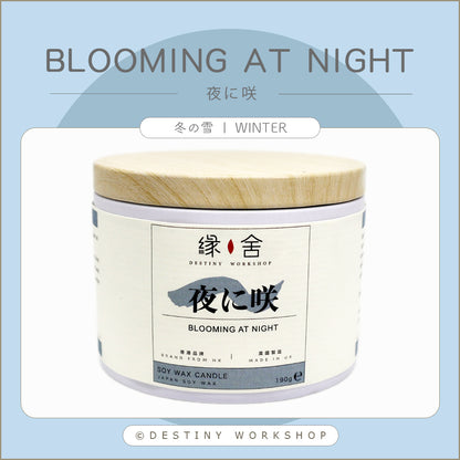 Blooming at night | 夜に咲