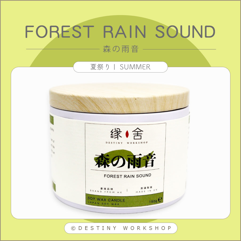 Forest Rain Sound | 森の雨音