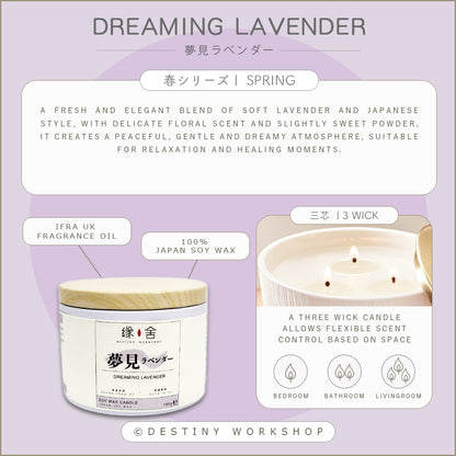 Dreaming Lavender | 夢見ラベンダー