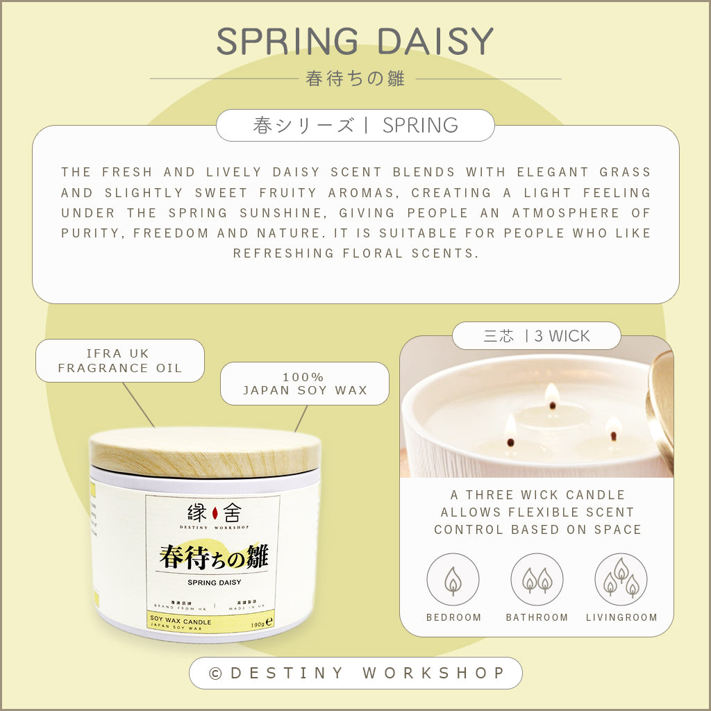 Spring Daisy | 春待ちの雛