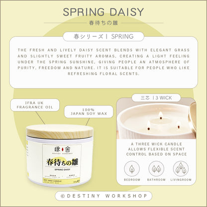 Spring Daisy | 春待ちの雛