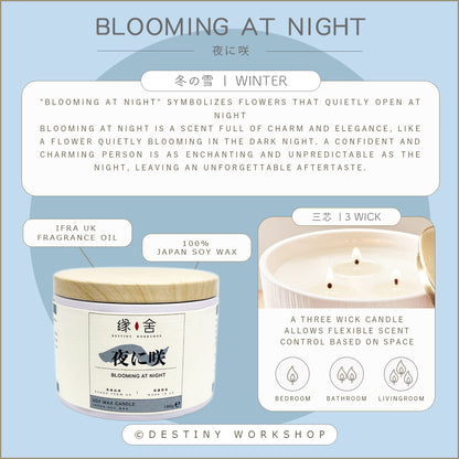Blooming at night | 夜に咲