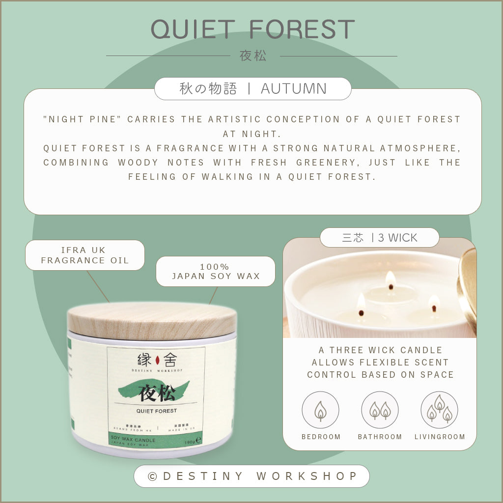 Quiet Forest | 夜松