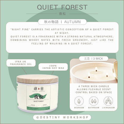 Quiet Forest | 夜松