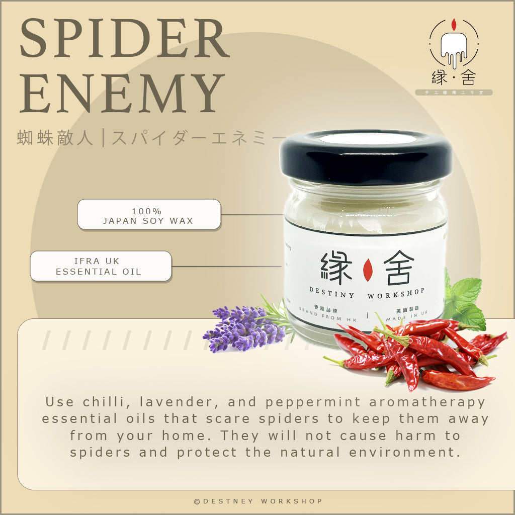 Spider Enemy Candle